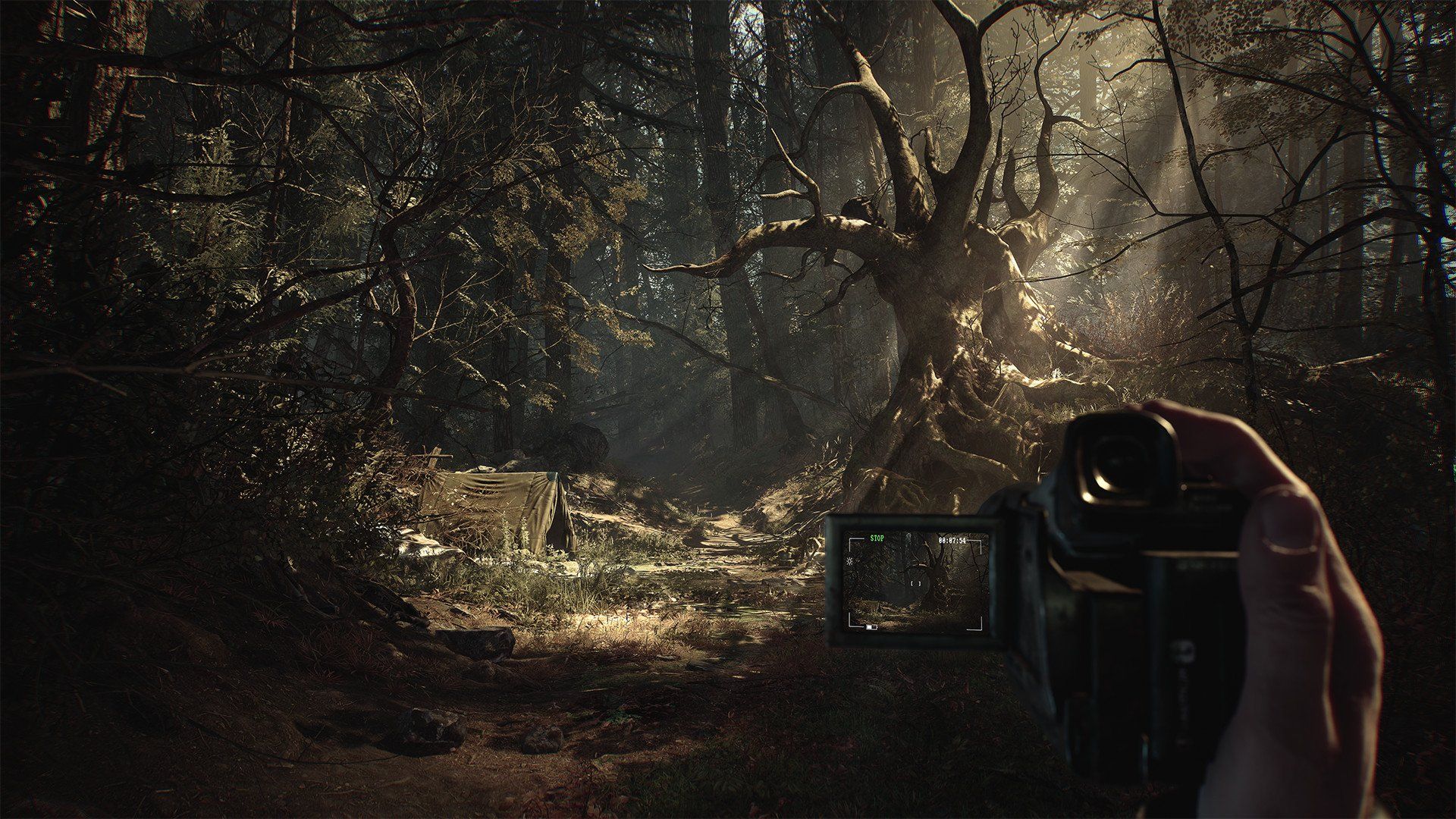 Blair Witch - Imagen 39